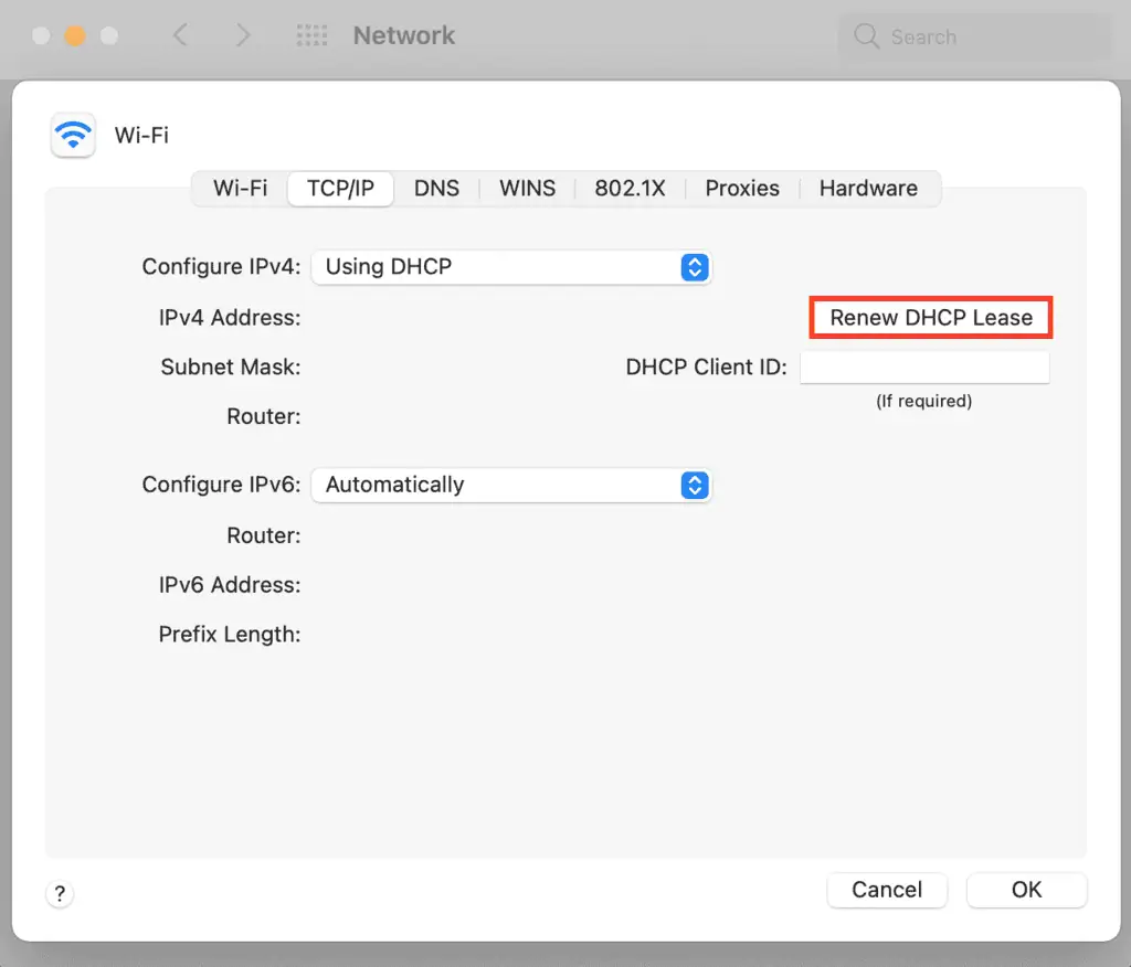 Rinnovo del lease DHCP su macOS.