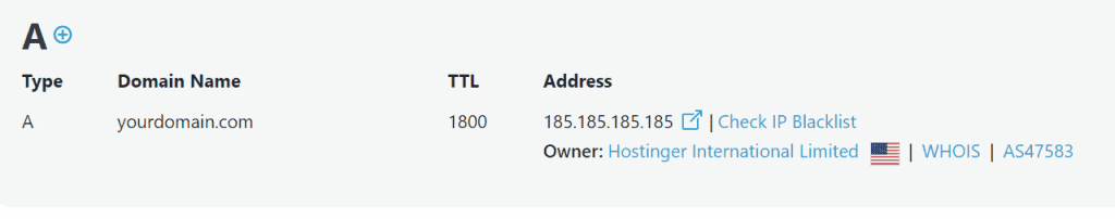 Un valore record di un nome di dominio in uno strumento di ricerca DNS